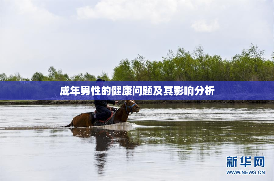 成年男性的健康问题及其影响分析
