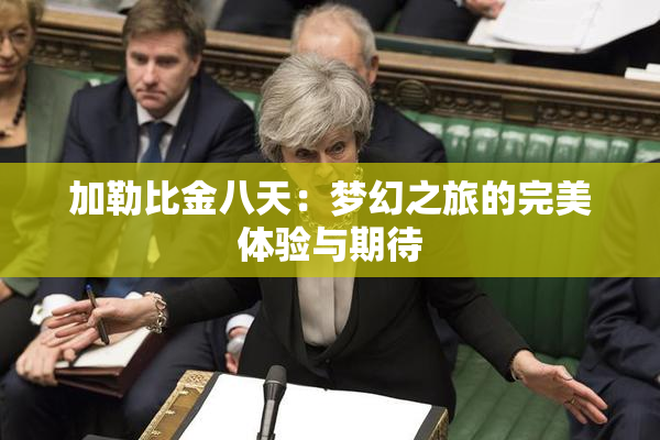 加勒比金八天：梦幻之旅的完美体验与期待