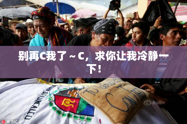 别再C我了～C，求你让我冷静一下！