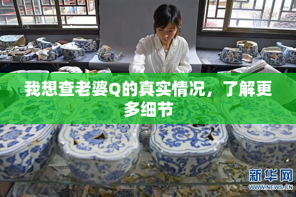 我想查老婆Q的真实情况，了解更多细节