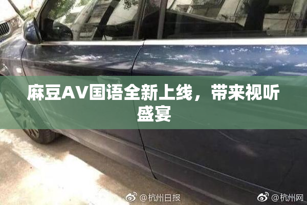 麻豆A∨国语全新上线，带来视听盛宴