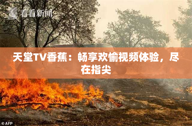 天堂TV香蕉：畅享欢愉视频体验，尽在指尖