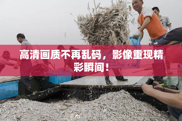 高清画质不再乱码，影像重现精彩瞬间！
