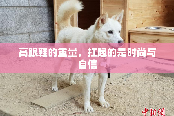 高跟鞋的重量，扛起的是时尚与自信