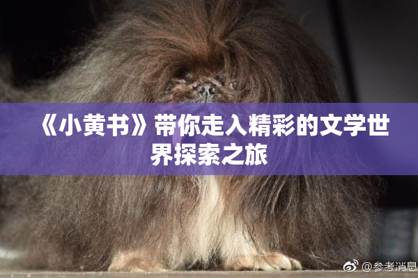 《小黄书》带你走入精彩的文学世界探索之旅