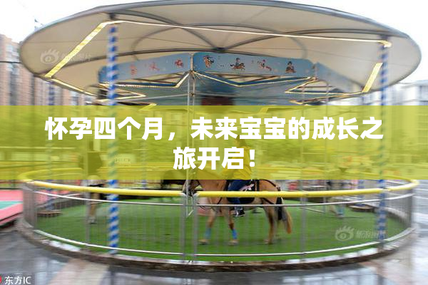 怀孕四个月，未来宝宝的成长之旅开启！