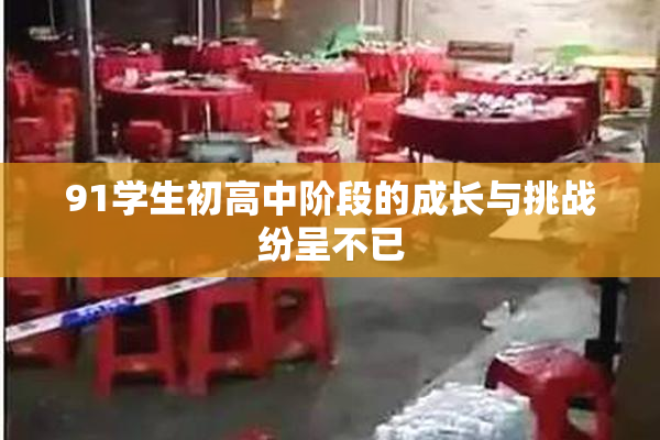 91学生初高中阶段的成长与挑战纷呈不已
