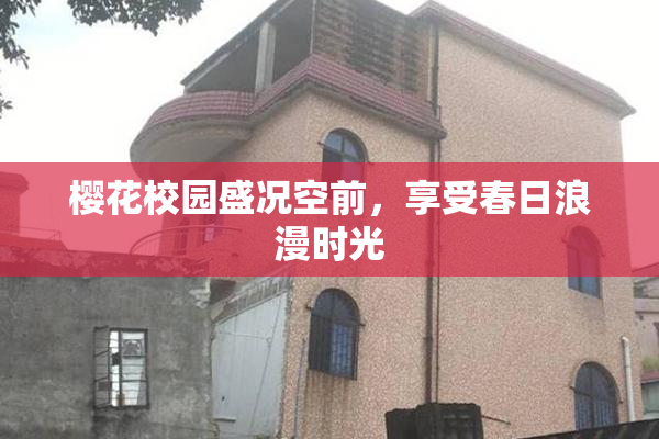 樱花校园盛况空前，享受春日浪漫时光