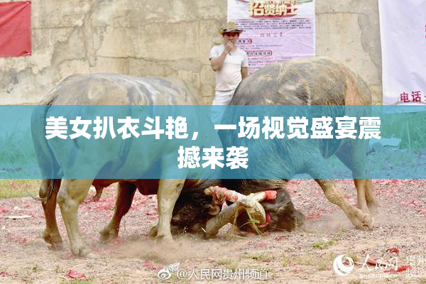 美女扒衣斗艳，一场视觉盛宴震撼来袭