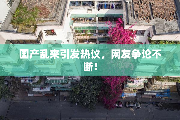 国产乱来引发热议，网友争论不断！