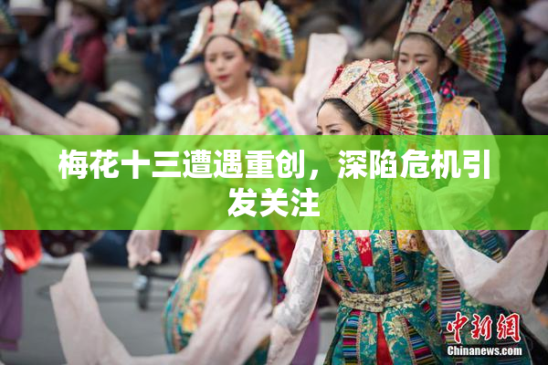 梅花十三遭遇重创，深陷危机引发关注