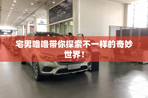 宅男噜噜带你探索不一样的奇妙世界！