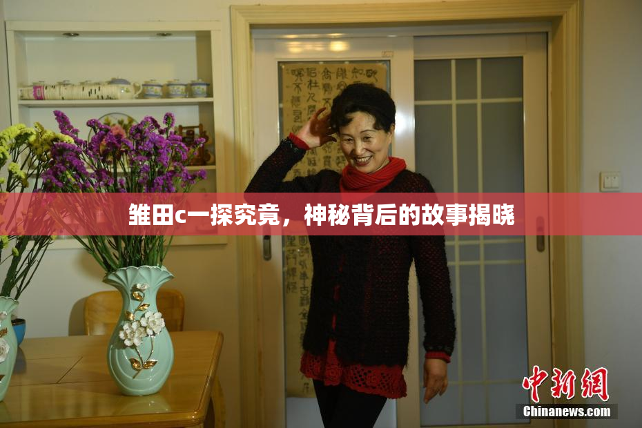 雏田c一探究竟，神秘背后的故事揭晓