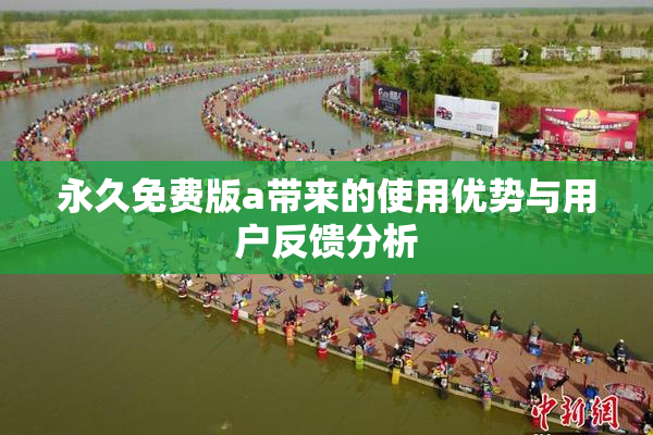 永久免费版a带来的使用优势与用户反馈分析