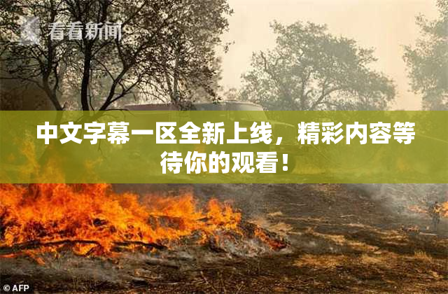 中文字幕一区全新上线，精彩内容等待你的观看！