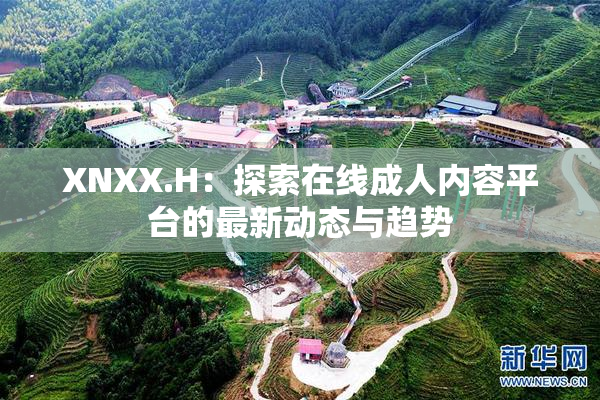 XNXX.H：探索在线成人内容平台的最新动态与趋势