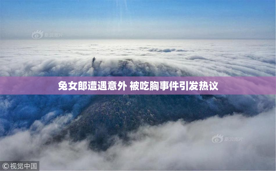 兔女郎遭遇意外 被吃胸事件引发热议
