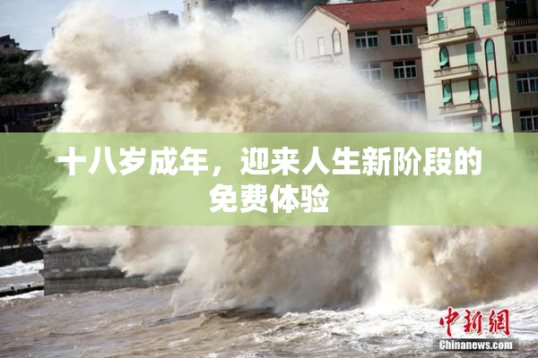 十八岁成年，迎来人生新阶段的免费体验
