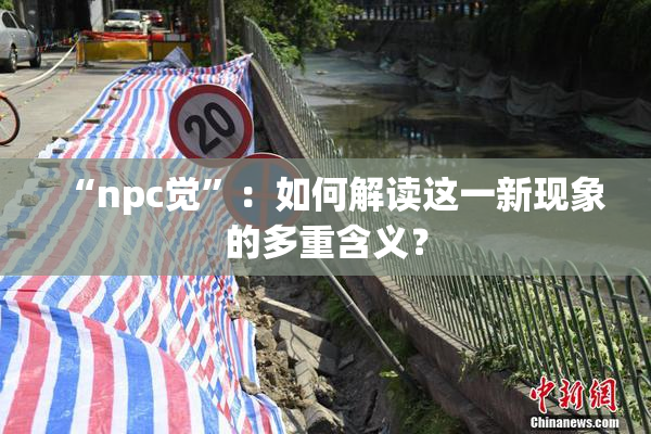 “npc觉”：如何解读这一新现象的多重含义？