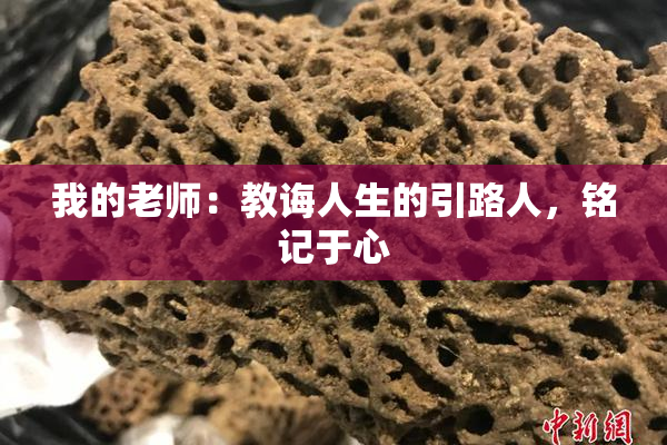 我的老师：教诲人生的引路人，铭记于心