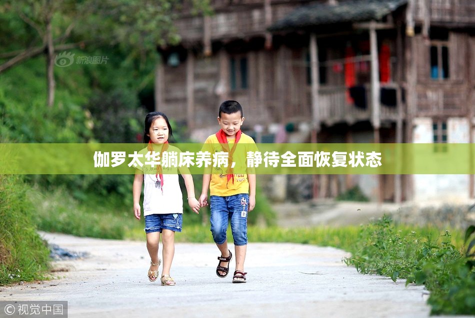 伽罗太华躺床养病，静待全面恢复状态