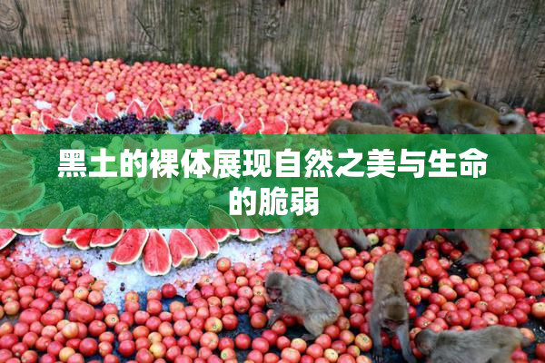 黑土的裸体展现自然之美与生命的脆弱
