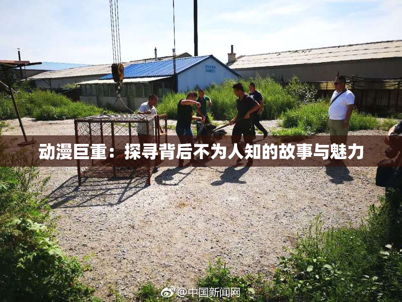 动漫巨重：探寻背后不为人知的故事与魅力