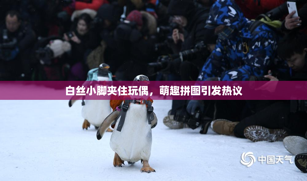 白丝小脚夹住玩偶，萌趣拼图引发热议