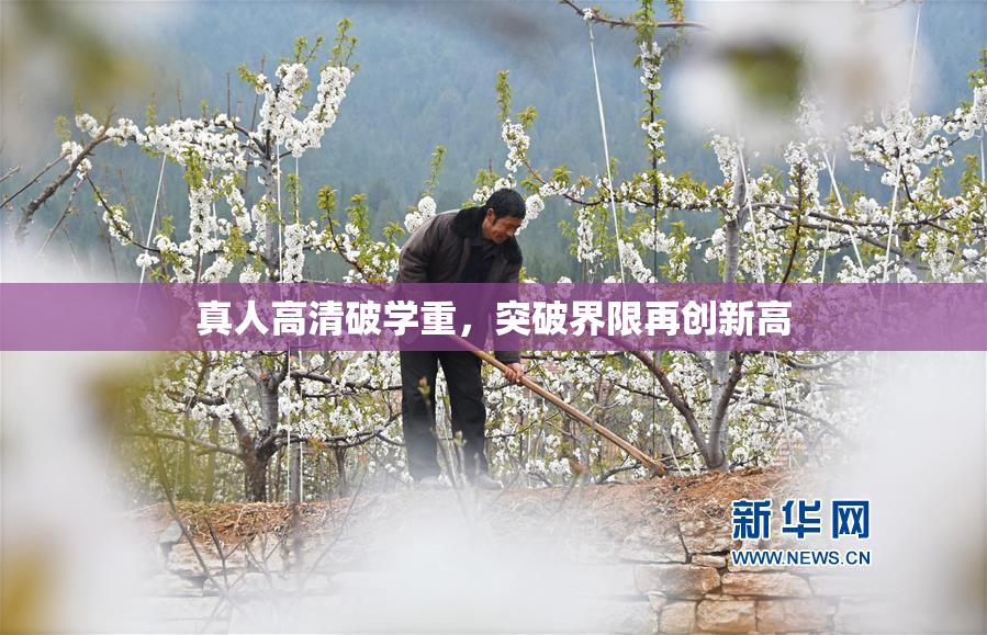 真人高清破学重，突破界限再创新高
