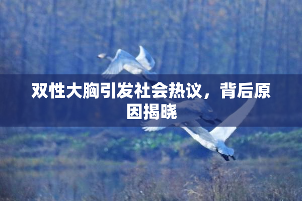 双性大胸引发社会热议，背后原因揭晓