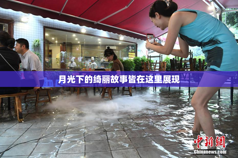 月光下的绮丽故事皆在这里展现