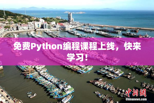免费Python编程课程上线，快来学习！