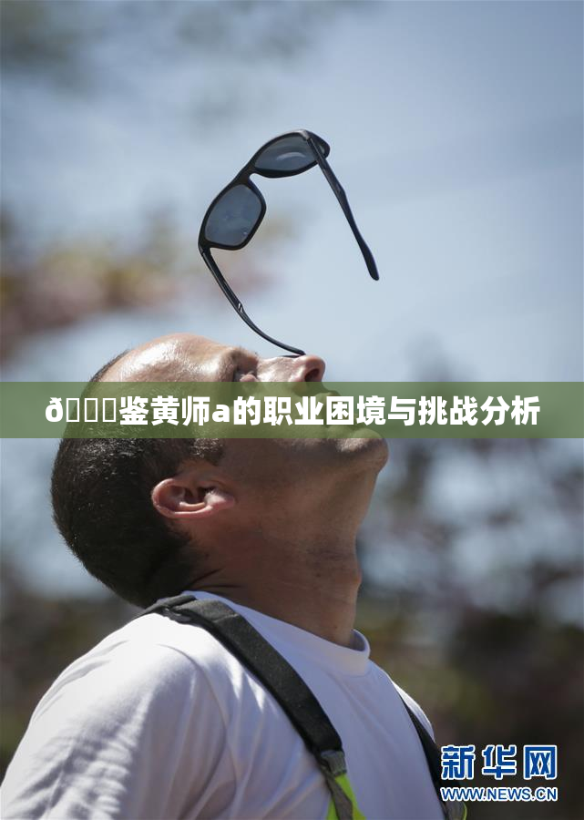 🔞鉴黄师a的职业困境与挑战分析