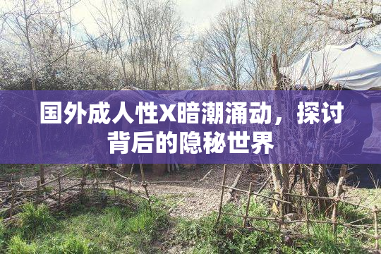 国外成人性X暗潮涌动，探讨背后的隐秘世界
