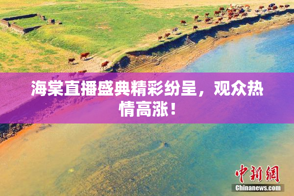 海棠直播盛典精彩纷呈，观众热情高涨！