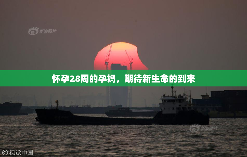 怀孕28周的孕妈，期待新生命的到来