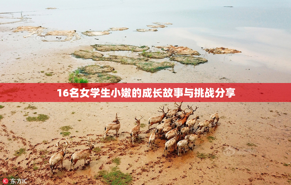 16名女学生小嫩的成长故事与挑战分享