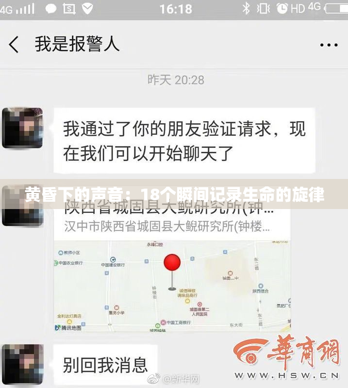 黄昏下的声音：18个瞬间记录生命的旋律