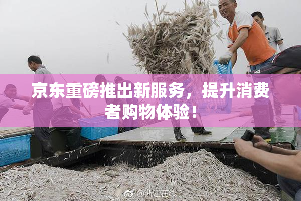 京东重磅推出新服务，提升消费者购物体验！