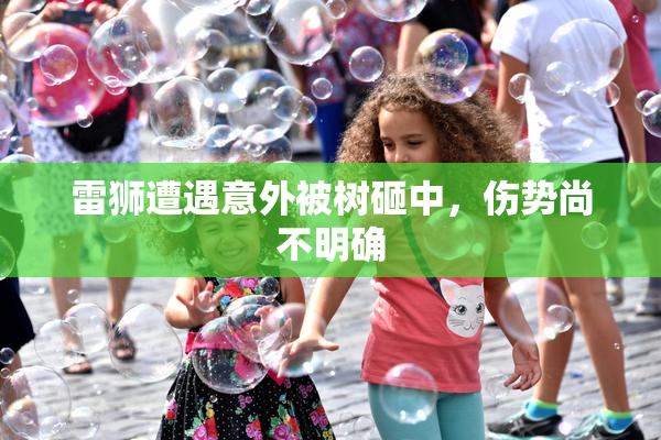 雷狮遭遇意外被树砸中，伤势尚不明确