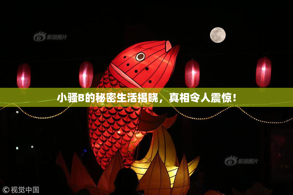 小骚B的秘密生活揭晓，真相令人震惊！