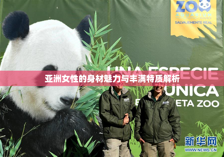 亚洲女性的身材魅力与丰满特质解析