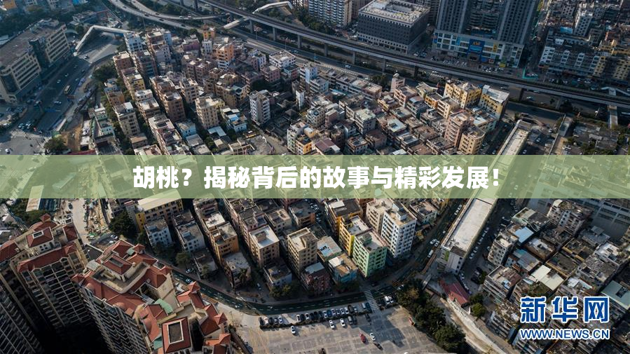 胡桃？揭秘背后的故事与精彩发展！