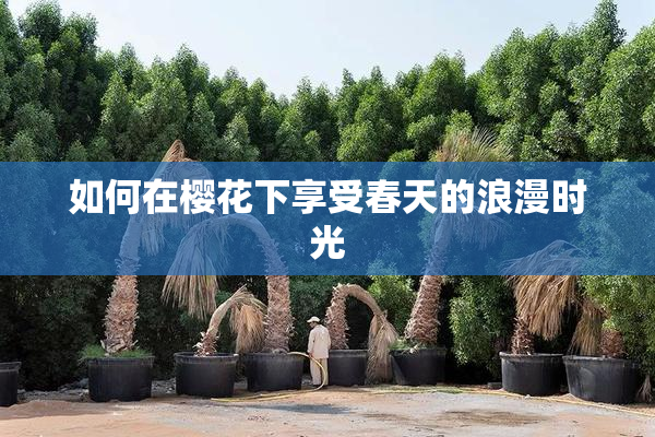 如何在樱花下享受春天的浪漫时光
