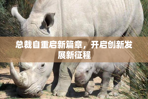 总裁自重启新篇章，开启创新发展新征程