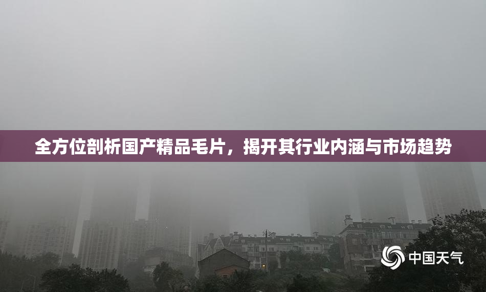 全方位剖析国产精品毛片，揭开其行业内涵与市场趋势