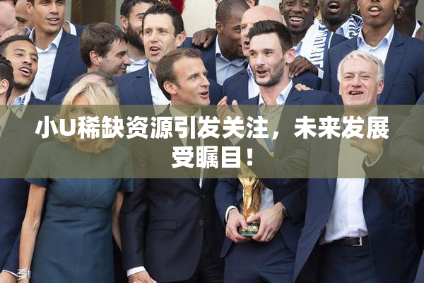 小U稀缺资源引发关注，未来发展受瞩目！