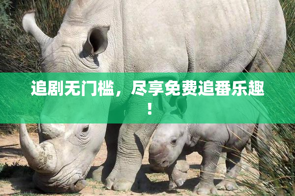 追剧无门槛，尽享免费追番乐趣！