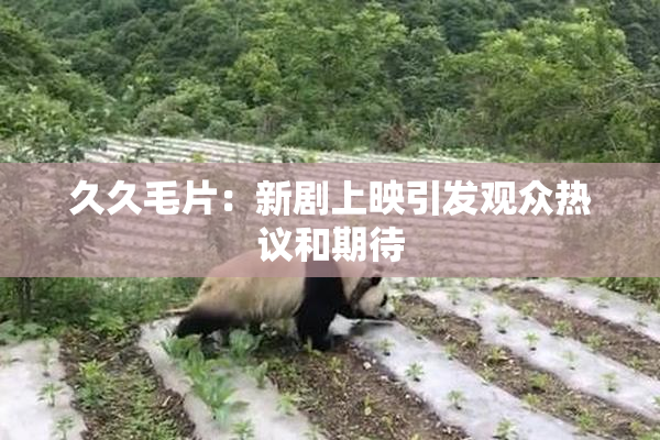久久毛片：新剧上映引发观众热议和期待