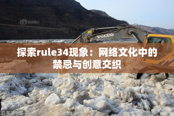 探索rule34现象：网络文化中的禁忌与创意交织
